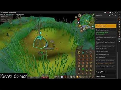 druid pouch osrs